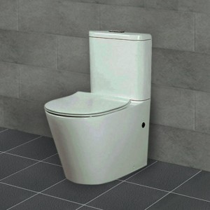 Back to Wall Toilet Suites